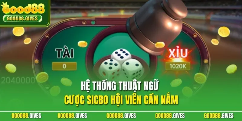 Hệ thống thuật ngữ cược sicbo hội viên cần nắm