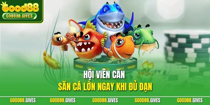 Hội viên cần săn cá lớn ngay khi đủ đạn